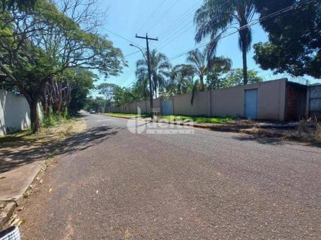 Sítio e chácara venda em Mansões Aeroporto, Uberlândia