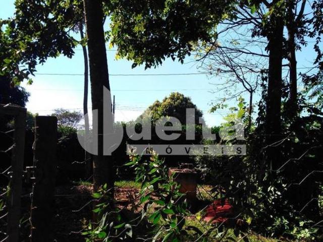 Sítio e chácara venda em Morada do Sol, Uberlândia