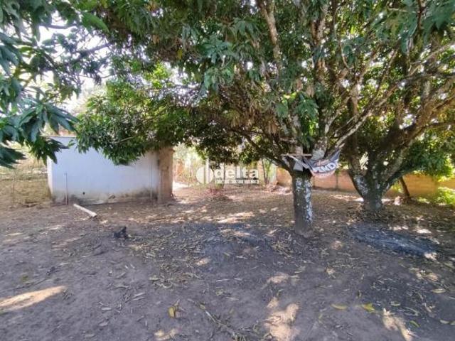Sítio e chácara venda em Miraporanga, Uberlândia