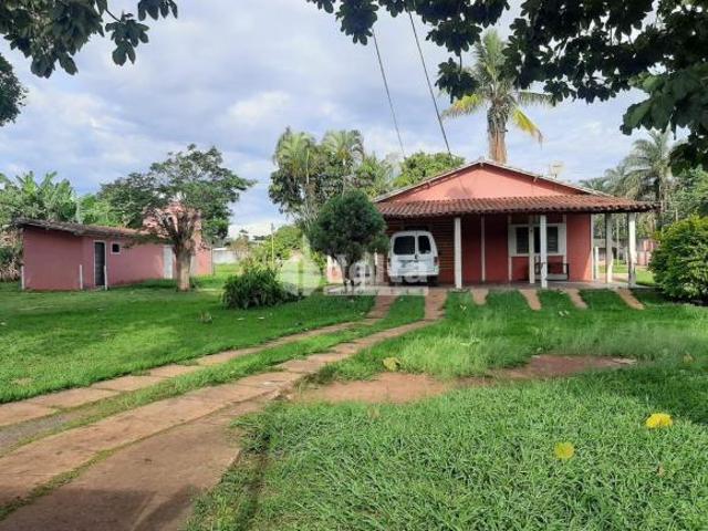 Sítio e chácara venda em Panorama, Uberlândia