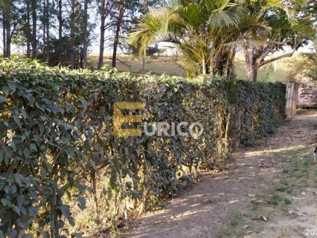 Sítio e chácara venda em Porto Feliz