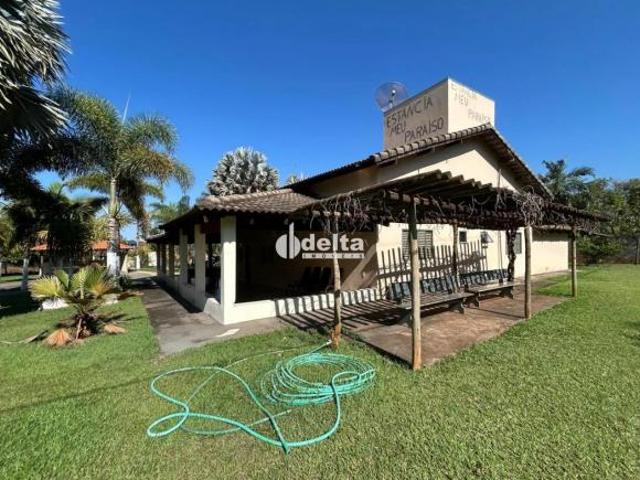 Sítio e chácara venda em Setor Norte, Uberlândia