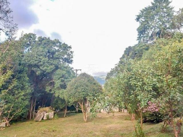 Sítio e chácara venda em Região Geográfica Imediata de Curitiba, Região Metropolitana de Curitiba