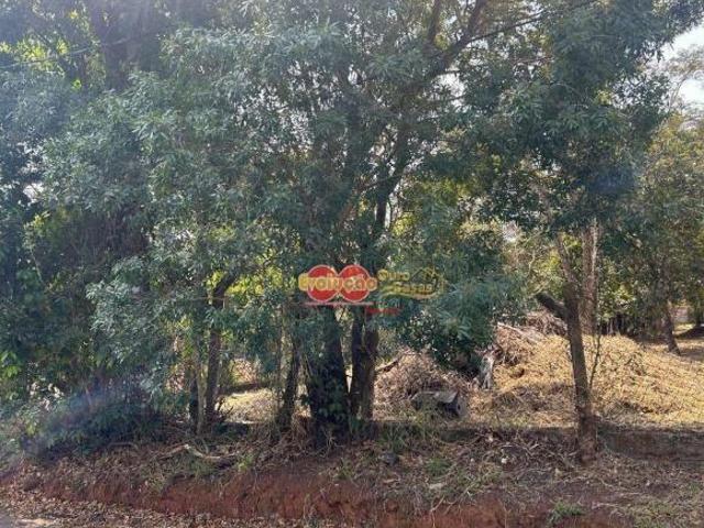 Sítio e chácara venda em Região Imediata de Amparo, Monte Alegre do Sul
