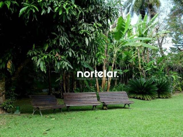 Sítio e chácara venda em Cotia