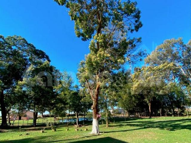 Sítio e chácara venda em Região Geográfica Imediata de Pelotas, Aglomeração Urbana do Sul