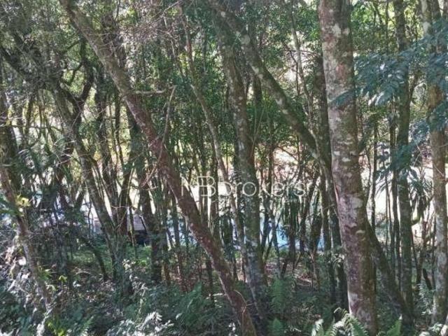 Sítio e chácara venda em Região Geográfica Imediata de Curitiba, Região Metropolitana de Curitiba