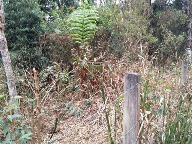 Sítio e chácara venda em Região Geográfica Imediata de Curitiba, Região Metropolitana de Curitiba