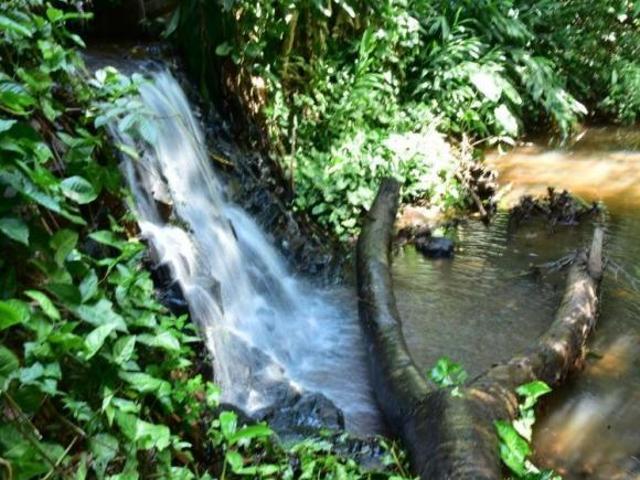 Sítio e chácara venda em Região Geográfica Imediata de Campo Grande, Campo Grande