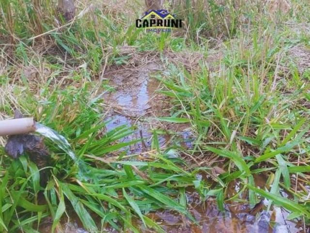 Sítio e chácara venda em Região Geográfica Imediata de Oliveira, Carmópolis de Minas