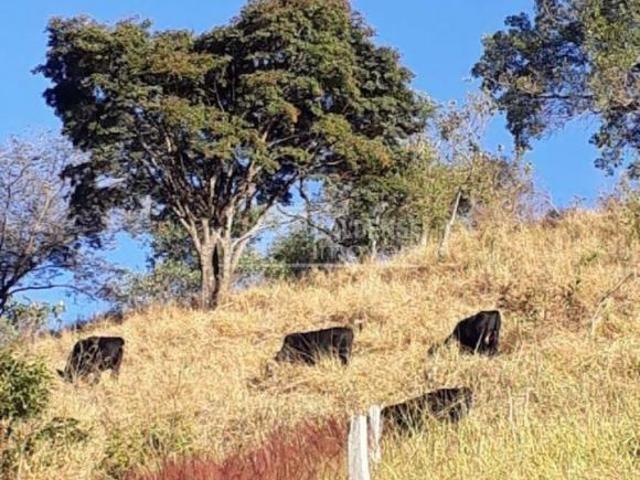 Sítio e chácara venda em Região Geográfica Imediata de Poços de Caldas, Caldas