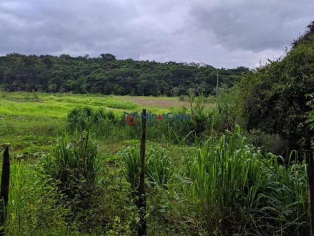 Sítio e chácara venda em Centro, Caratinga