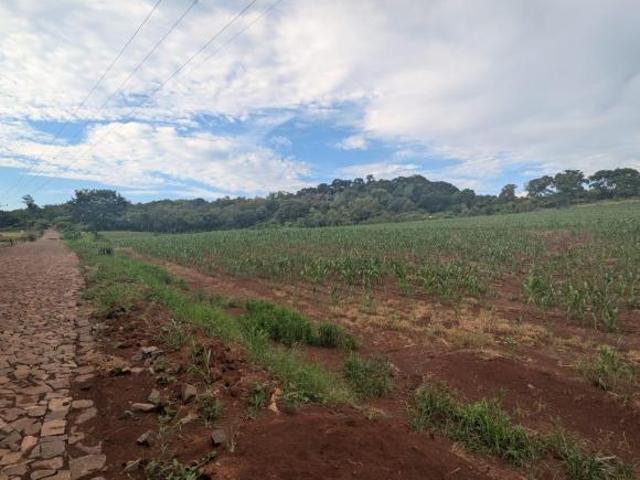 Sítio e chácara venda em Região Geográfica Imediata de Marechal Cândido Rondon, Marechal Cândido Rondon