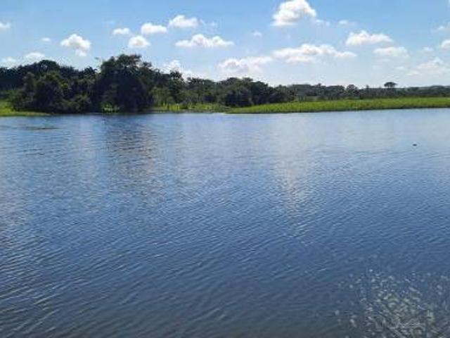Sítio e chácara venda em Região Imediata de São José do Rio Preto, Região Metropolitana de São José do Rio Preto
