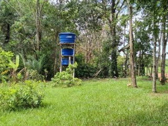 Sítio e chácara venda em Região Imediata de São José do Rio Preto, Região Metropolitana de São José do Rio Preto