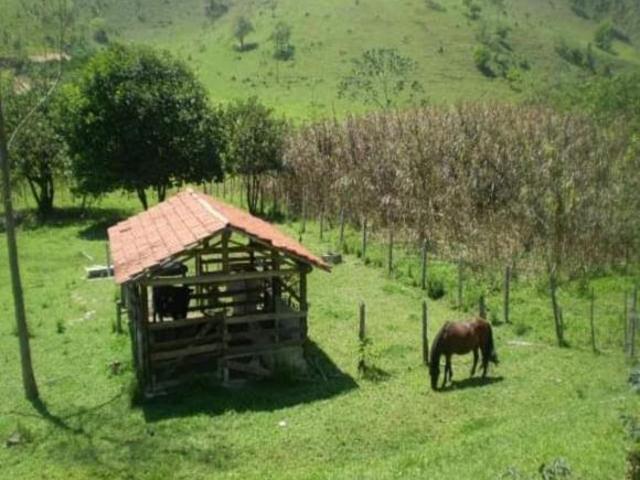 Sítio e chácara venda em Região Imediata de São José dos Campos, Região Metropolitana do Vale do Paraíba e Litoral Norte