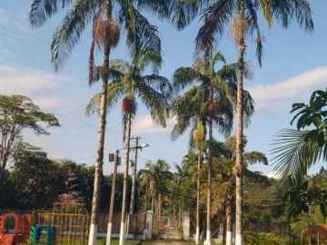 Sítio e chácara venda em Santa Isabel