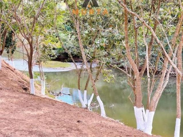 Sítio e chácara venda em Região Geográfica Imediata de Belo Horizonte, Região Metropolitana de Belo Horizonte