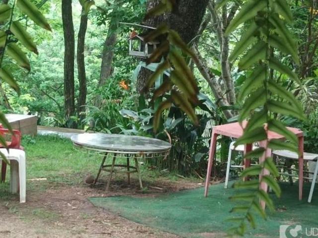 Sítio e chácara venda em Região Geográfica Imediata de Uberlândia, Oliveira Fortes