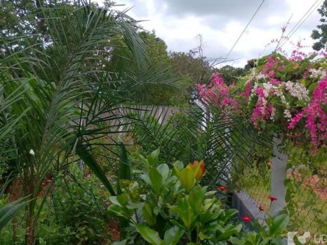 Sítio e chácara venda em Região Geográfica Imediata de Uberlândia, Oliveira Fortes