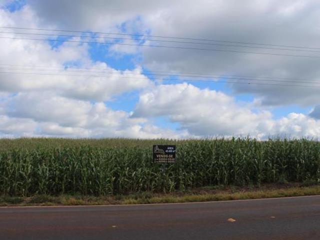 Sítio e chácara venda em Região Geográfica Imediata de Cascavel, Vera Cruz do Oeste