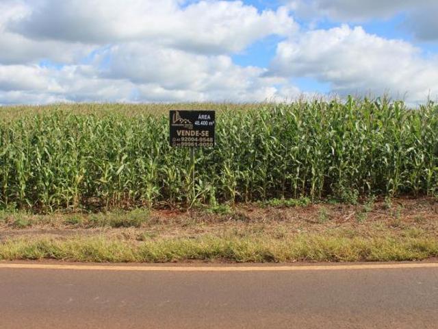 Sítio e chácara venda em Região Geográfica Imediata de Cascavel, Vera Cruz do Oeste