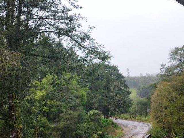 Sítio e chácara venda em Região Geográfica Imediata de Ponta Grossa, Senges