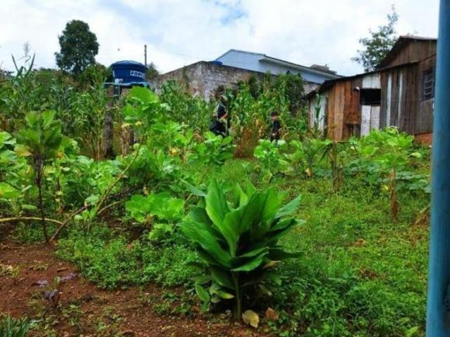 Sítio e chácara venda em Região Geográfica Imediata de Ponta Grossa, Senges