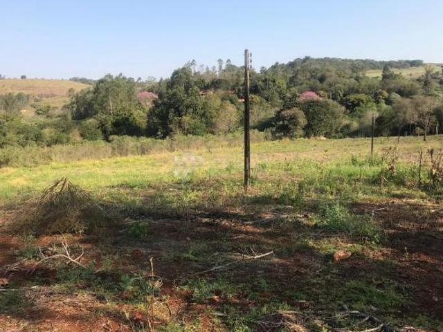 Sítio e chácara venda em Região Geográfica Imediata de Londrina, Londrina