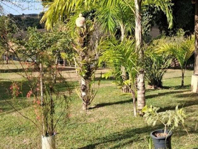 Sítio e chácara venda em Vila Honolulu, Águas de São Pedro