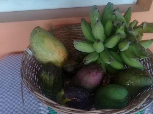 Sítio e chácara venda em Região Imediata de Sorocaba, Região Metropolitana de Sorocaba