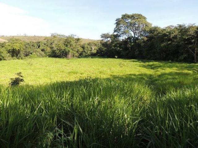 Sítio e chácara venda em Região Geográfica Imediata do Distrito Federal, Região Integrada de Desenvolvimento do Distrito Federal e Entorno