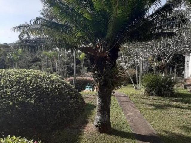 Sítio e chácara venda em Região Imediata de Caraguatatuba-Ubatuba-São Sebastião, Região Metropolitana do Vale do Paraíba e Litoral Norte