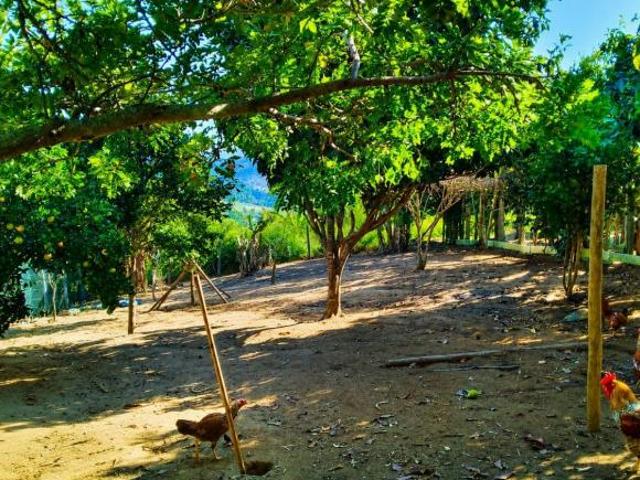 Sítio e chácara venda em Santa Branca, Região Geográfica Intermediária de São José dos Campos