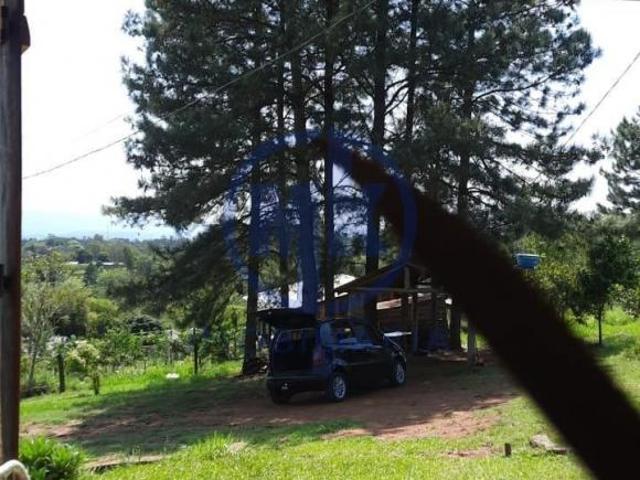 Sítio e chácara venda em Região Geográfica Imediata de Taquara - Parobé - Igrejinha, Região Metropolitana de Porto Alegre