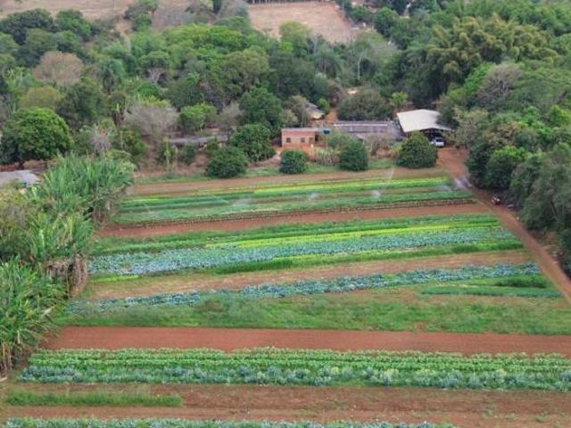 Sítio e chácara venda em Região Geográfica Imediata do Distrito Federal, Região Integrada de Desenvolvimento do Distrito Federal e Entorno
