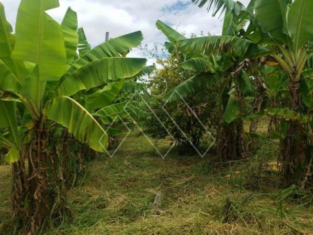 Sítio e chácara venda em Ibiporã, Paraná