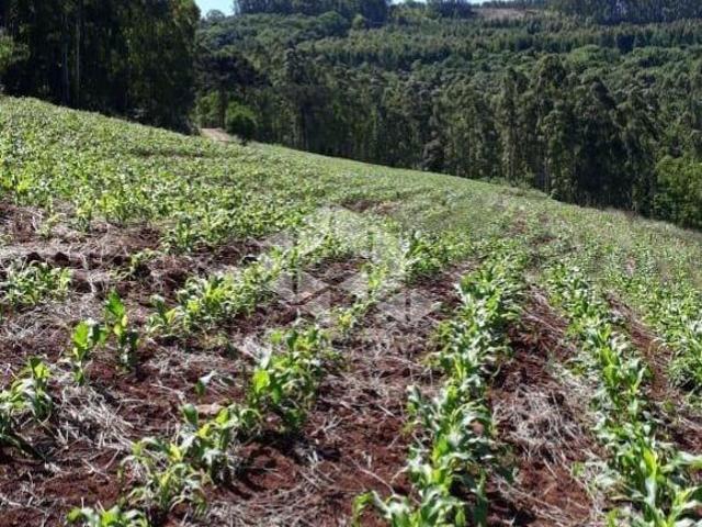 Sítio e chácara venda em Região Geográfica Imediata de Novo Hamburgo - São Leopoldo, São Vendelino