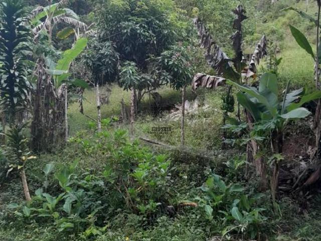Sítio e chácara venda em Região Imediata de São Paulo, Região Metropolitana de São Paulo