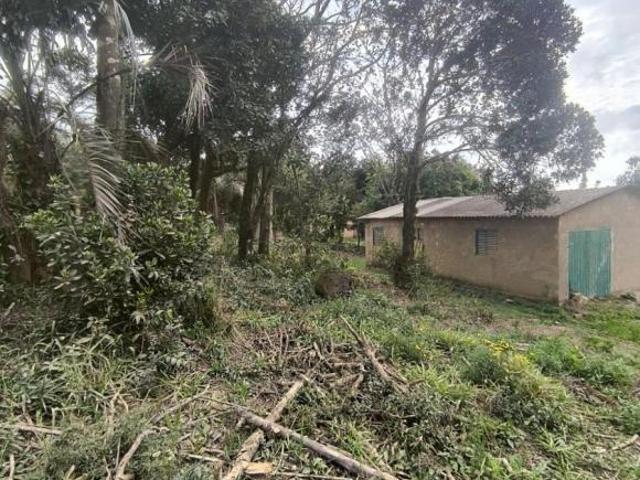 Sítio e chácara venda em Sentinela do Sul