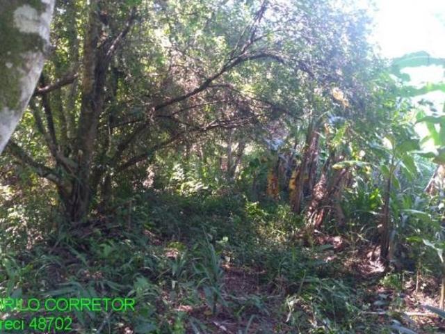 Sítio e chácara venda em Região Geográfica Imediata de Montenegro, Região Metropolitana de Porto Alegre