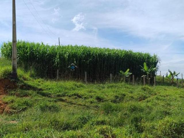 Sítio e chácara venda em Região Geográfica Imediata de Alfenas, Alterosa