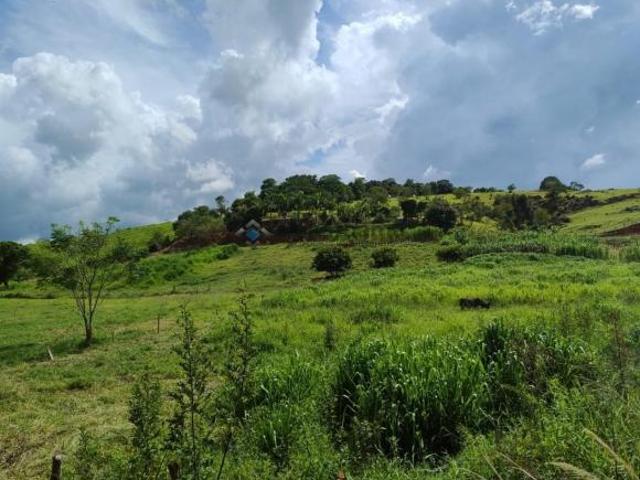 Sítio e chácara venda em Região Geográfica Imediata de Alfenas, Alterosa