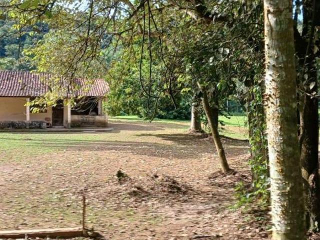 Sítio e chácara venda em Santa Isabel