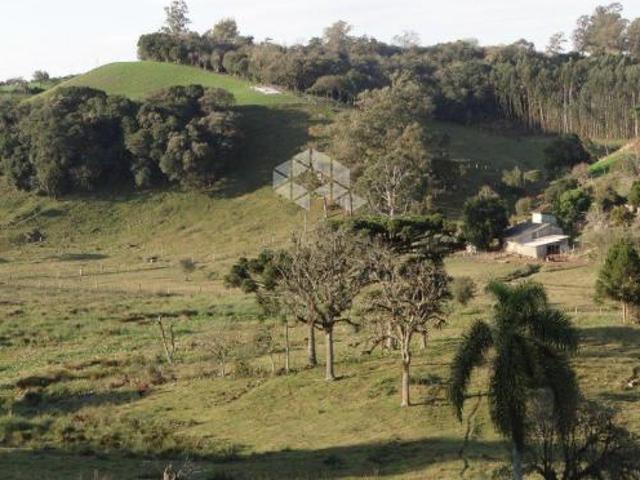 Sítio e chácara venda em Região Geográfica Imediata de Bento Gonçalves, Carlos Barbosa