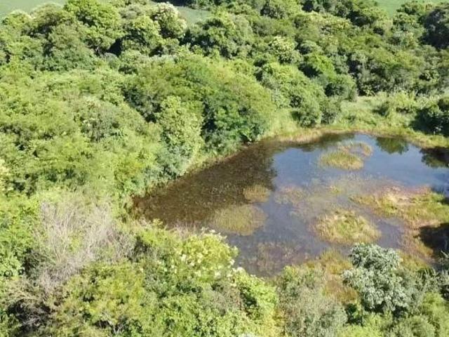 Sítio e chácara venda em Marechal Cândido Rondon, Região Geográfica Intermediária de Cascavel