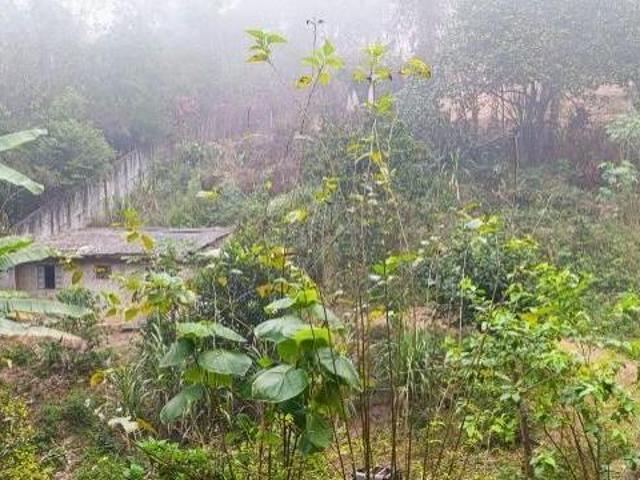Sítio e chácara venda em Região Imediata de São Paulo, Região Metropolitana de São Paulo