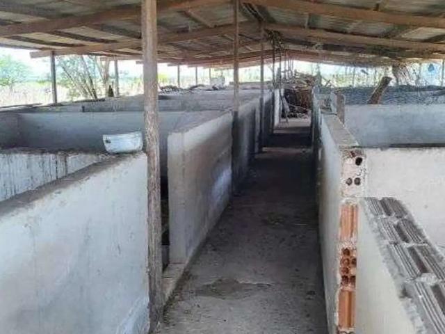 Casa aluguel em Senador Elói de Souza