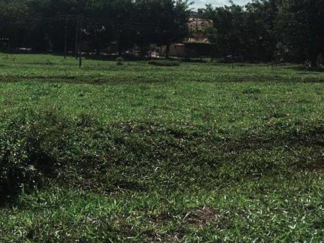 Sítio e chácara venda em Guaraçaí