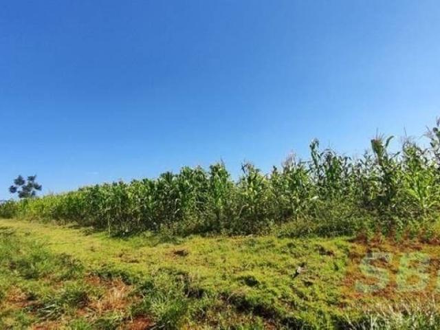 Sítio e chácara venda em Região Imediata de Jaú, Barra Bonita